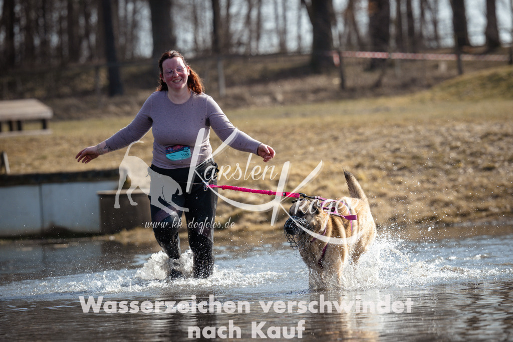 1155_ZZ97323 | kk-dogfotos