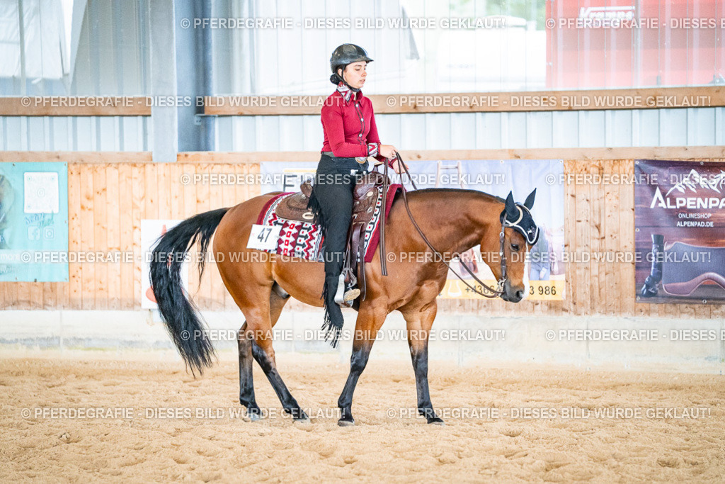 DSC02487 | Pferdegrafie