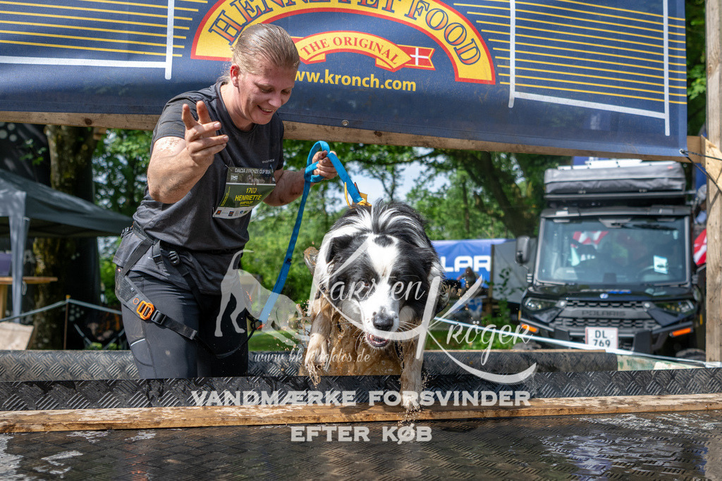 1003_ZZ93810 | kk-dogfotos