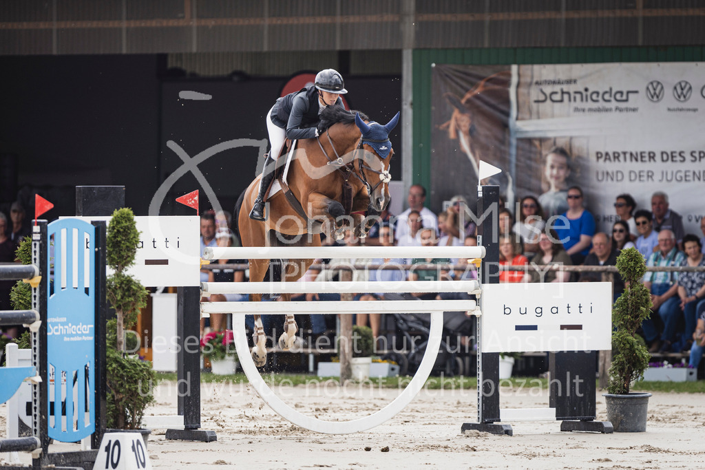 250628_PfSpTa_GP-613 | Deine schönsten Turniermomente als professionelle Fotos! Entdecke hochwertige Pferdesport-Fotografie im Online-Shop. Jetzt Fotos finden & bestellen!