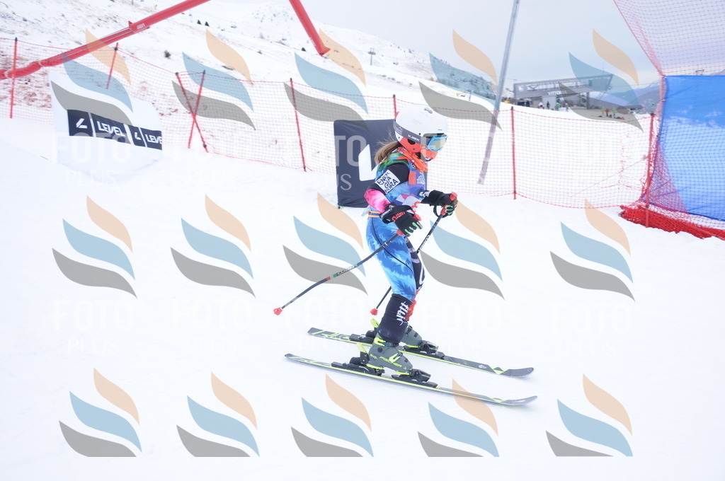 DSC_8184 | holidayphoto