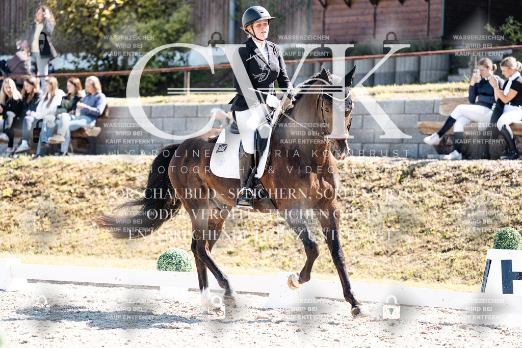 CK903604 | Turnierfotografie Pferdefotografie Trier Rheinland-Pfalz Pferdesport Reitsport Tierfotografie Sportfotografie Pferdevideo Pferdevideografie Equestrianvideography equestrianphotography  - Realisiert mit Pictrs.com