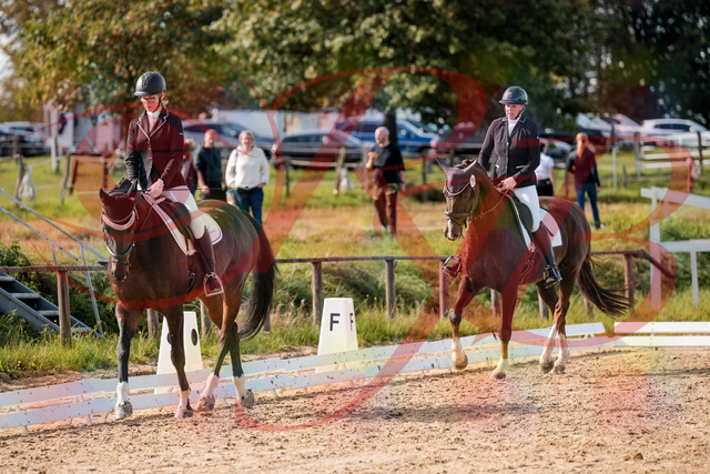 2026_10_03_Siefer-Hof_132132_Z63_83150571 | Professionelle Reitsport-, Turnier- und Eventfotografie von Robert Broda. Galerien mit ausgewählten und bearbeiteten Bildern direkt online ansehen und bestellen.