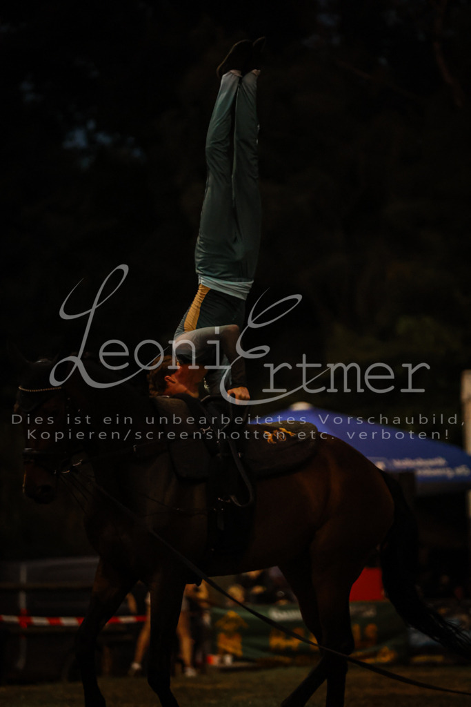 SaShow00330 | Leoni Ertmer Photography - Realisiert mit Pictrs.com