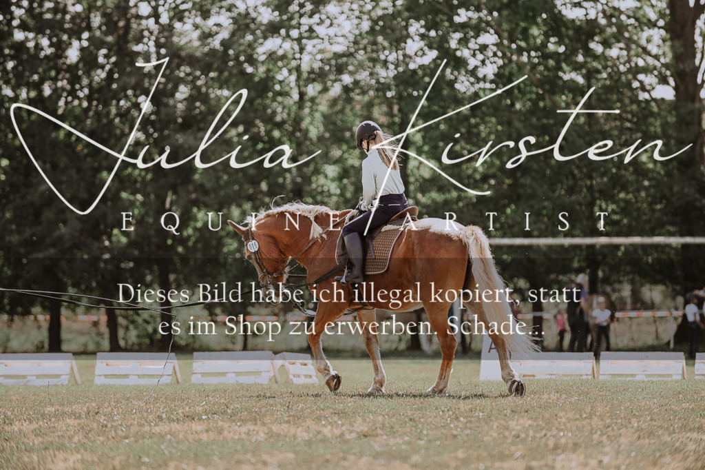 DSC_7565 | Pferde- und Turnierfotografie in Westsachsen. Pferdeportraits, Auftragszeichnungen und intuitive Kunst.