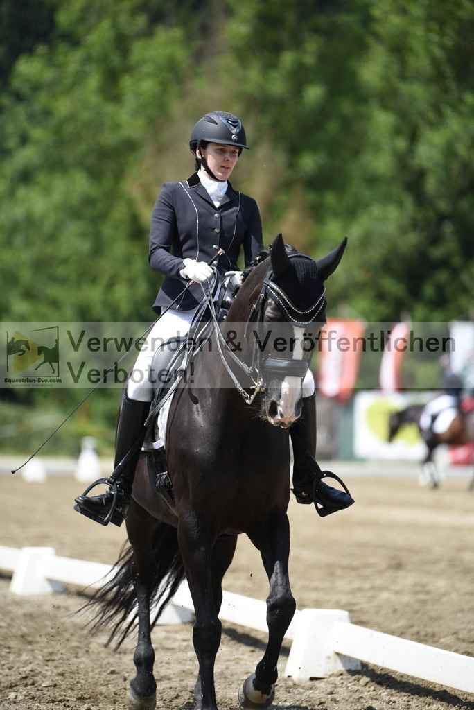 DSC_8977 | equestrian-live-com