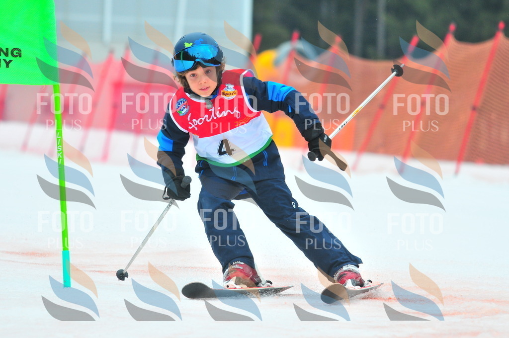 C0499 | holidayphoto