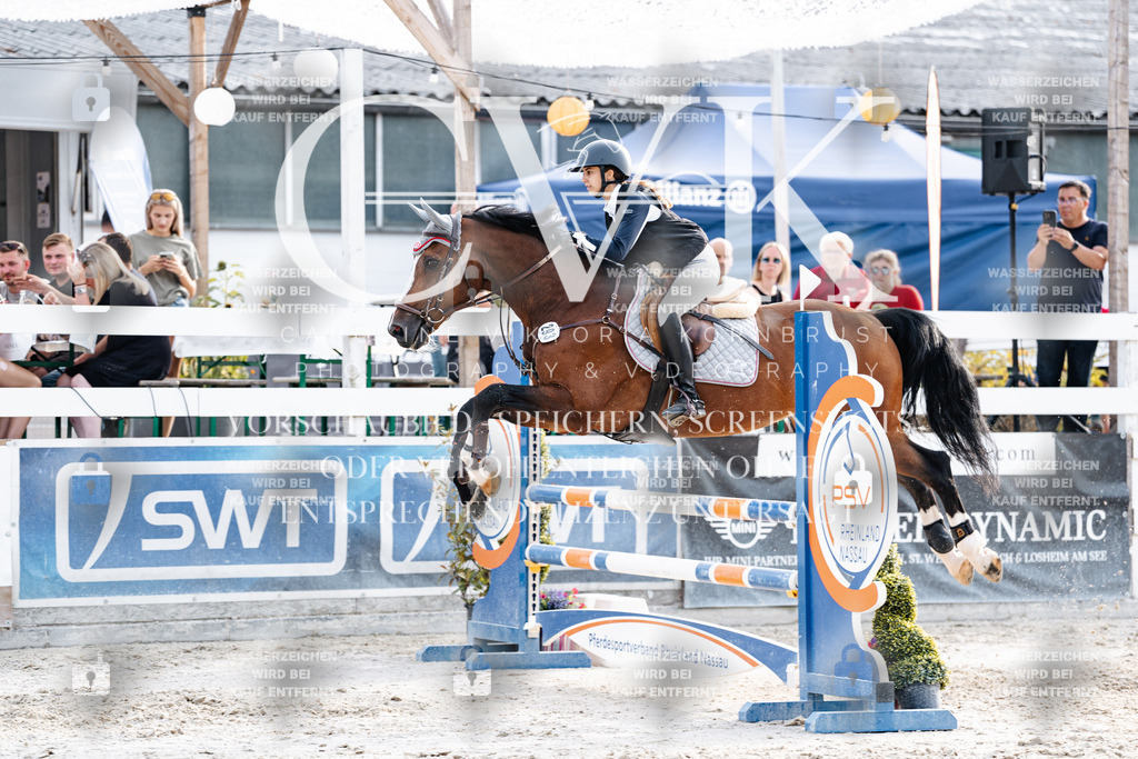 CK906875 | Turnierfotografie Pferdefotografie Trier Rheinland-Pfalz Pferdesport Reitsport Tierfotografie Sportfotografie Pferdevideo Pferdevideografie Equestrianvideography equestrianphotography  - Realisiert mit Pictrs.com