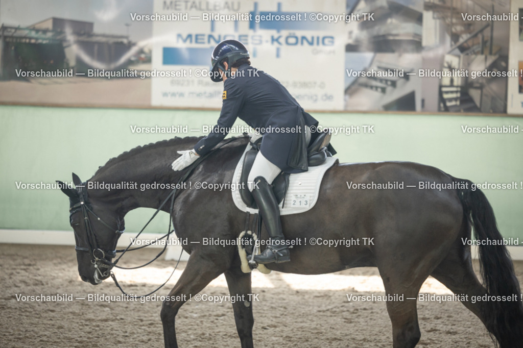 _D5A1594 | Emotionale Pferde- & People-Fotografie rund um Heidelberg, Leimen & Umgebung. Natürliche Fotos von Pferd, Mensch & Familie. Jetzt Termin sichern!