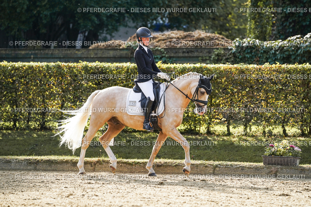 DSC04833 | Pferdegrafie