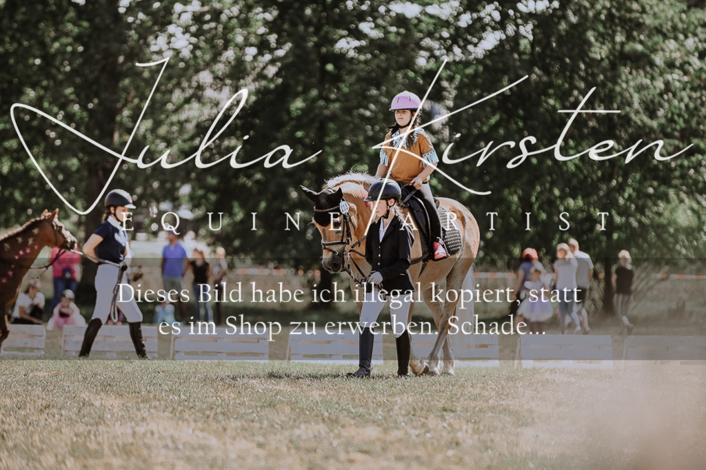 DSC_8846 | Pferde- und Turnierfotografie in Westsachsen. Pferdeportraits, Auftragszeichnungen und intuitive Kunst.