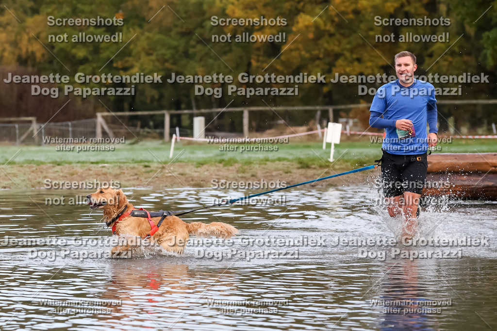 Dog Paparazzi - Strongdog 10-25-6339 | Dog Paparazzi Jeanette Grottendiek Fotografie & Videografie - Realisiert mit Pictrs.com
