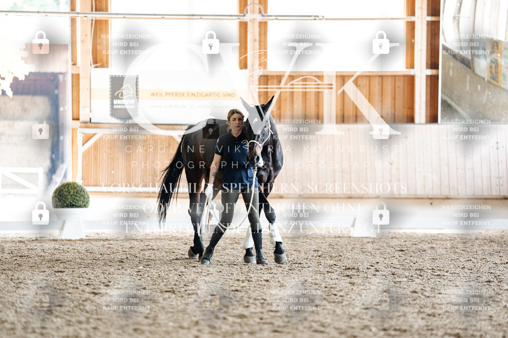 CK908072 | Turnierfotografie Pferdefotografie Trier Rheinland-Pfalz Pferdesport Reitsport Tierfotografie Sportfotografie Pferdevideo Pferdevideografie Equestrianvideography equestrianphotography  - Realisiert mit Pictrs.com