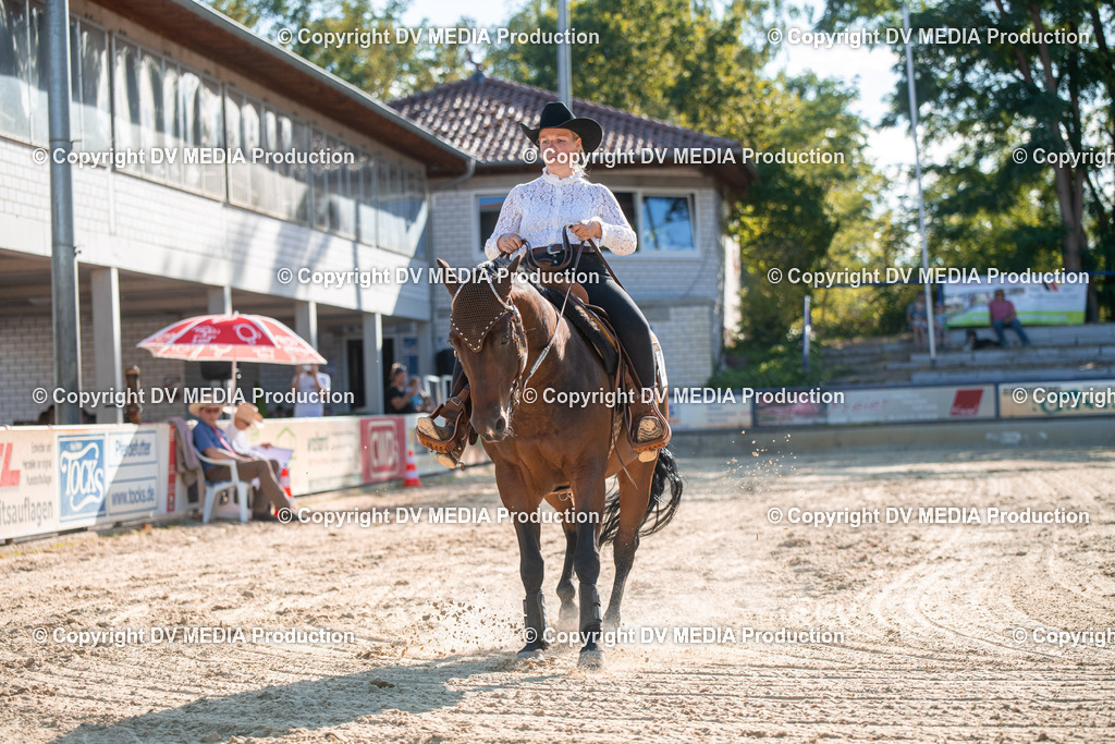 EWP_7079 | dv-media-shop - Realisiert mit Pictrs.com