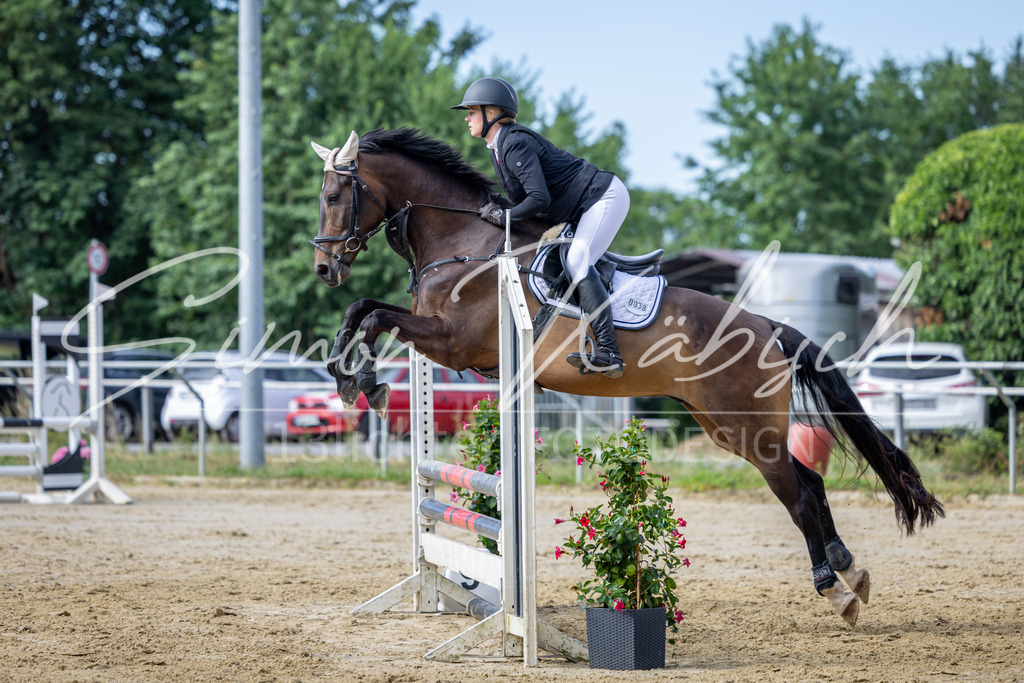 20260704-_3LI6456 | Tierfotografie Pferde, Hunde, Katzen, Haustiere.
Turnierfotografie Reitturniere, Reiten, Springreiten, Dressur in Hanau, dem Main-Kinzig-Kreis und dem Rhein-Main- Gebiet um Frankfurt