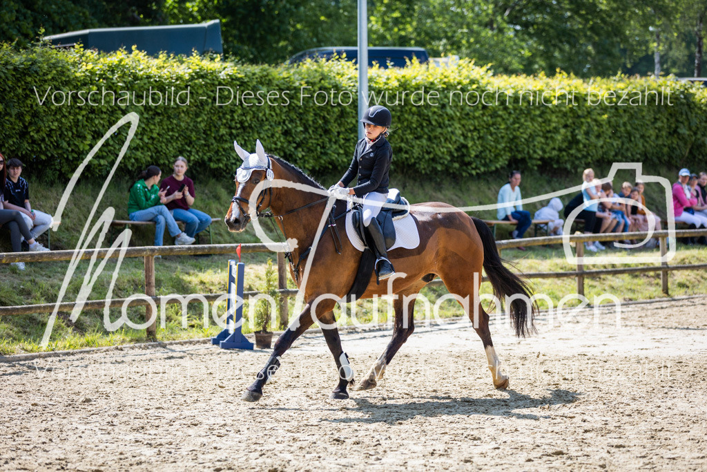 Donop24-SprRW-039 | MomenTaufnahmen Pferdesportfotos