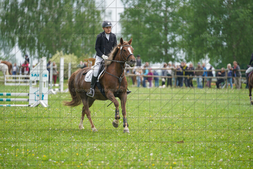 20240509-FAH02452 | Turnierbilder der Turnierfotografen Bayern, Pferdesport Fotografie, Reitsportbilder, Turnier Landberg am Lech, Turnierbilder bayern, Fotoagentur Herrmann