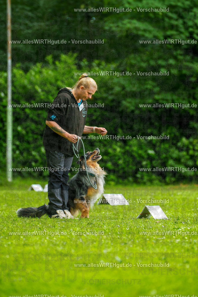 @allesWIRTHgut_Tierfotografie - www.allesWIRTHgut.de - 123326-7R509104 | Professionelle Tierfotografie in Mönchengladbach von Daniel Wirth (allesWIRTHgut). Liebevolle & natürliche Bilder von Hunden & Katzen für unvergessliche Erinnerungen.