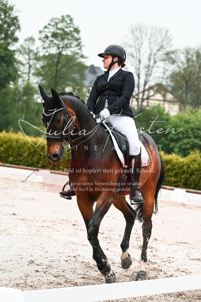 DSC_4552 | Pferde- und Turnierfotografie in Westsachsen. Pferdeportraits, Auftragszeichnungen und intuitive Kunst.