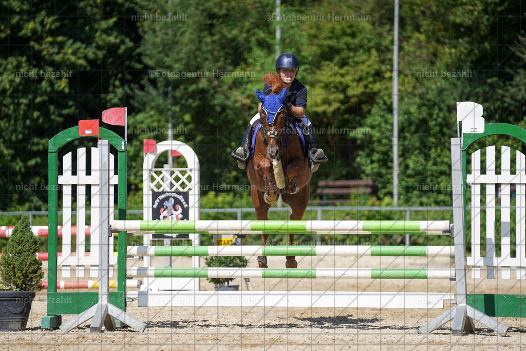 20240824-FAH08261 | Thierhaupten 2024, Bayerisches Landesponyturnier, Turnierbilder, Ponybilder, Turnierfotografen Bayern, Fotoagentur Herrmann