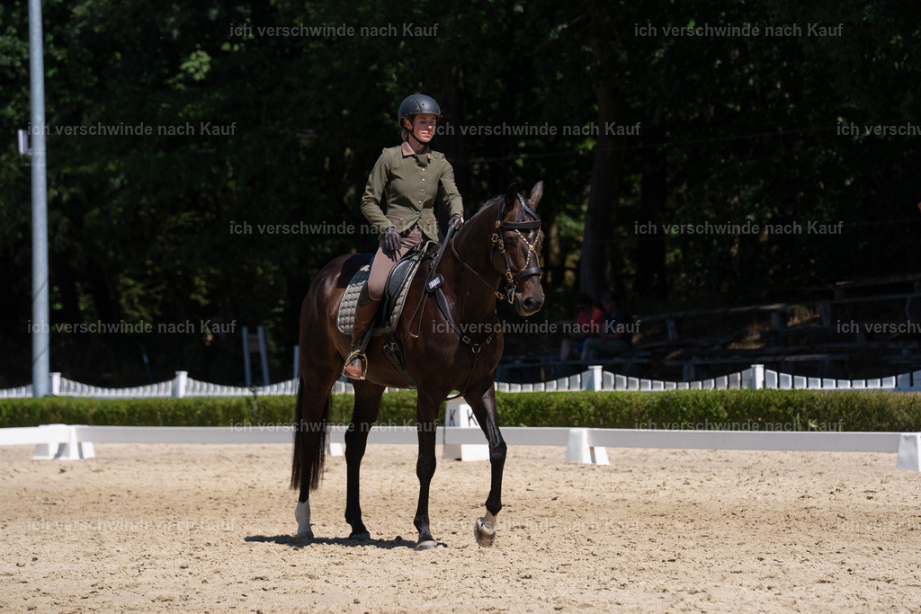 WS_DR_19_sinafilmart_IN03093 | working equitationturnier fotograf videograf stoibphotography marixx film working equitation deutschland reitsport turnierfotografie eventfotografie equestrian events