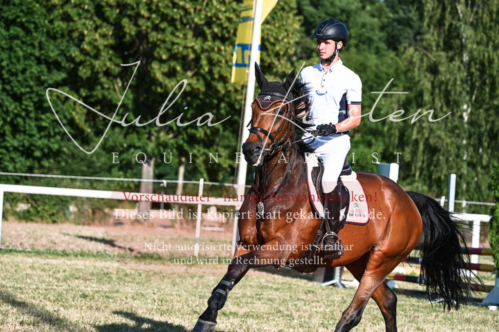 DSC_3068 | Pferde- und Turnierfotografie in Westsachsen. Pferdeportraits, Auftragszeichnungen und intuitive Kunst.