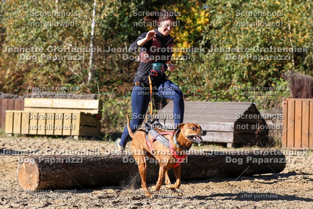 Dog Paparazzi - Strongdog 10-25-2622 | Dog Paparazzi Jeanette Grottendiek Fotografie & Videografie - Realisiert mit Pictrs.com