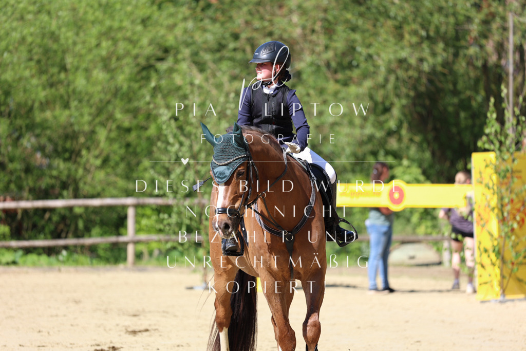 IMGS4655 | pl-fotografie