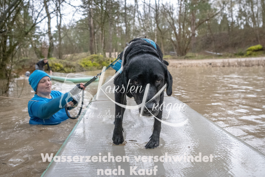 0921_ZZ90647-Bearbeitet | kk-dogfotos