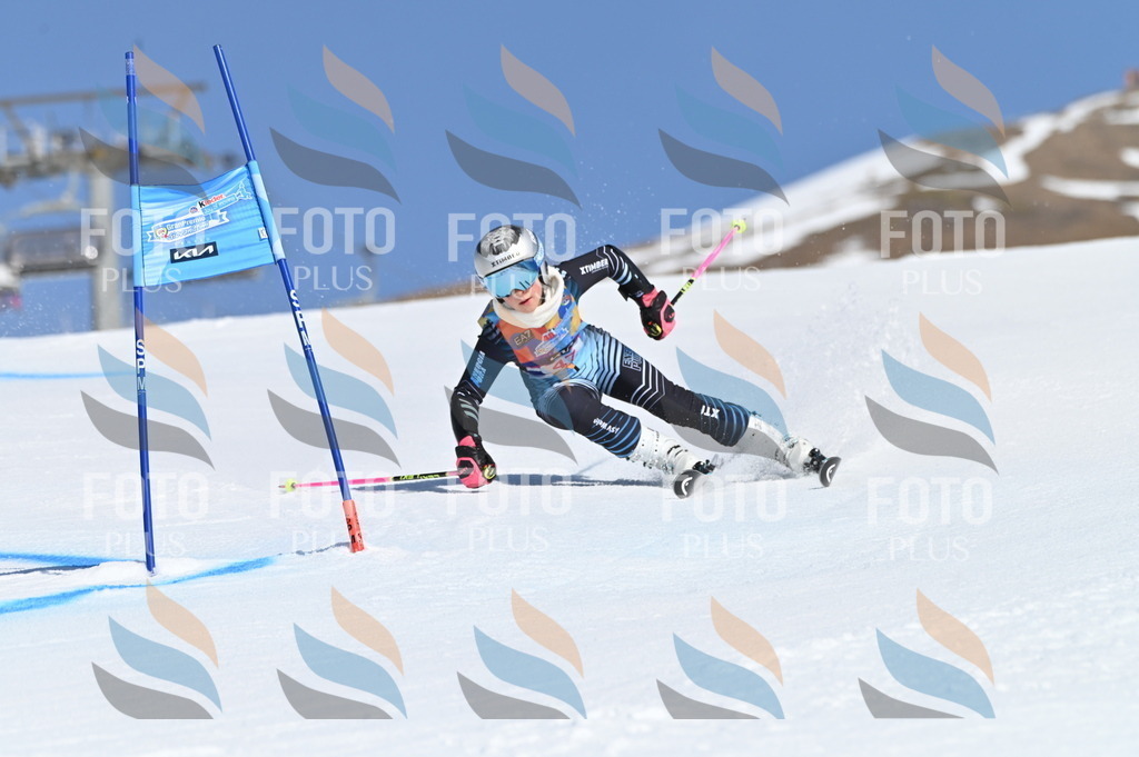 BGV_8480 | holidayphoto