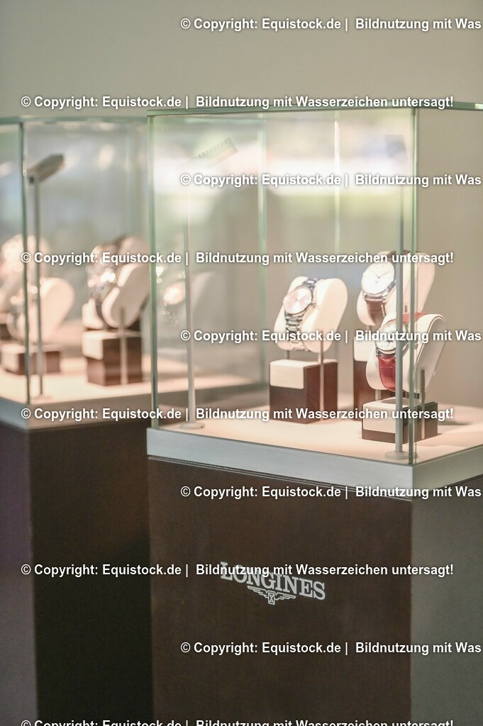 D78_3335 | equistock