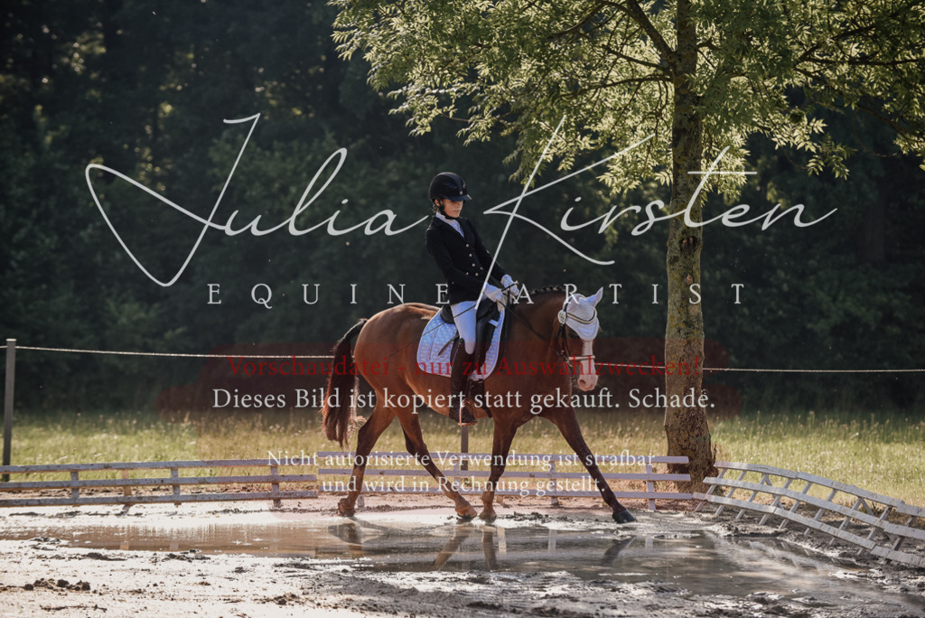 DSC_7856 | Pferde- und Turnierfotografie in Westsachsen. Pferdeportraits, Auftragszeichnungen und intuitive Kunst.