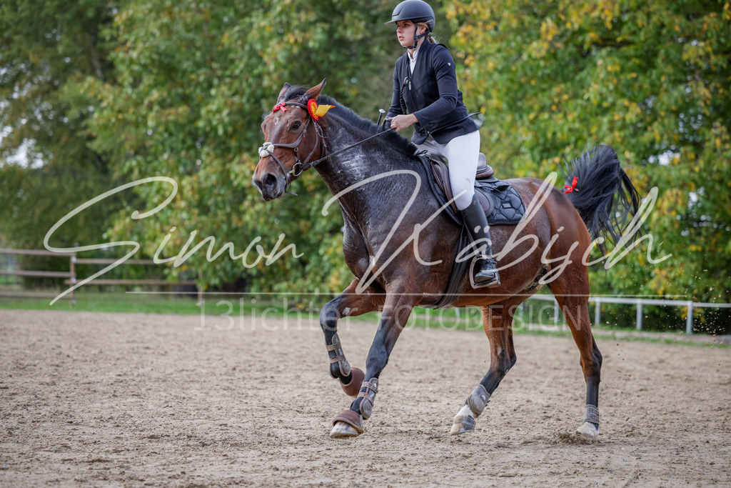 20251012-_3LI5427 | Tierfotografie Pferde, Hunde, Katzen, Haustiere.
Turnierfotografie Reitturniere, Reiten, Springreiten, Dressur in Hanau, dem Main-Kinzig-Kreis und dem Rhein-Main- Gebiet um Frankfurt