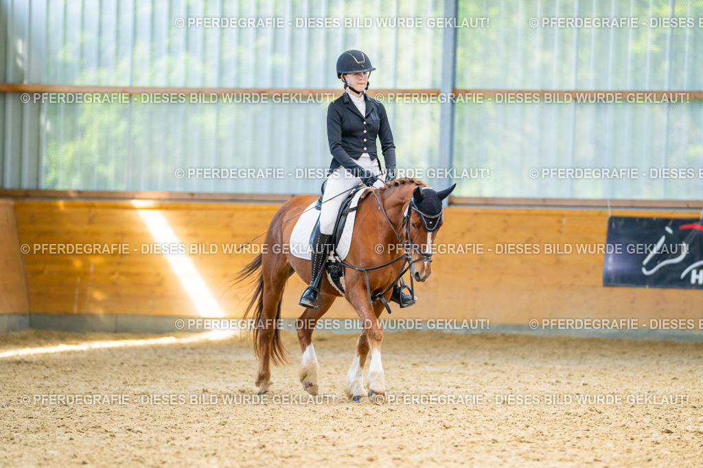 DSC08820 | Pferdegrafie