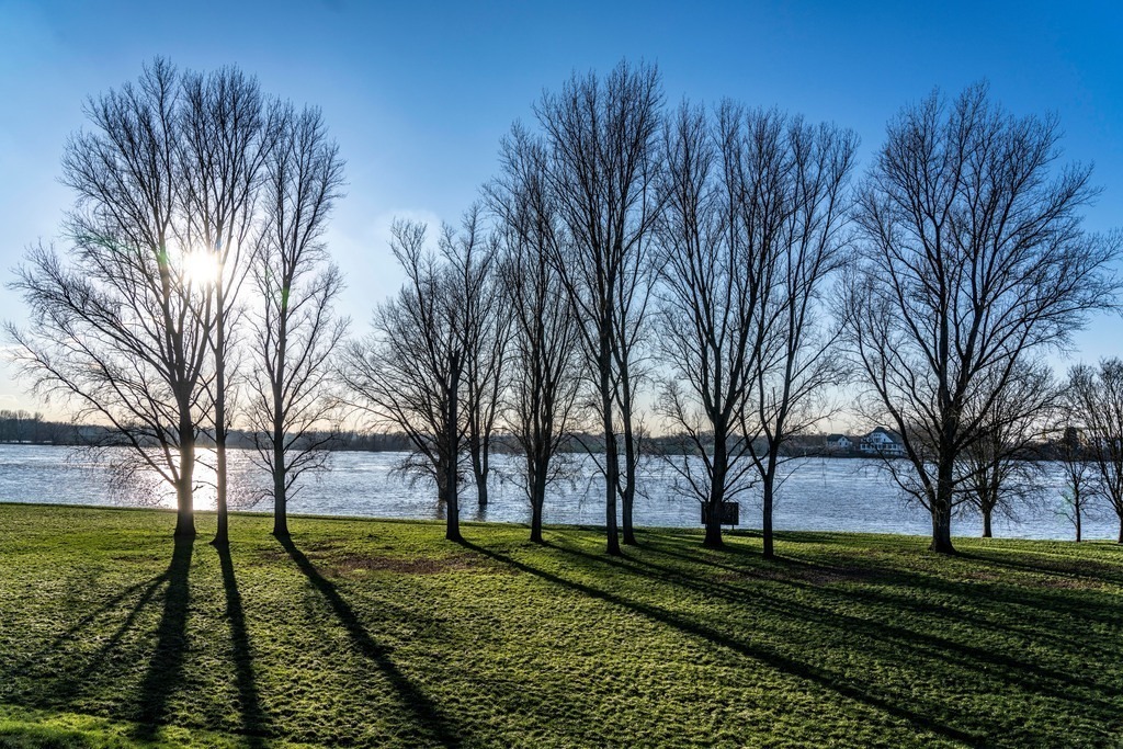 JT-230119 | Rheinweisen bei Duisburg-Neuenkamp, leichtes Hochwasser, überflutete Wiesen, kahle Bäume im Winter, NRW, Deutschland,  - Realisiert mit Pictrs.com