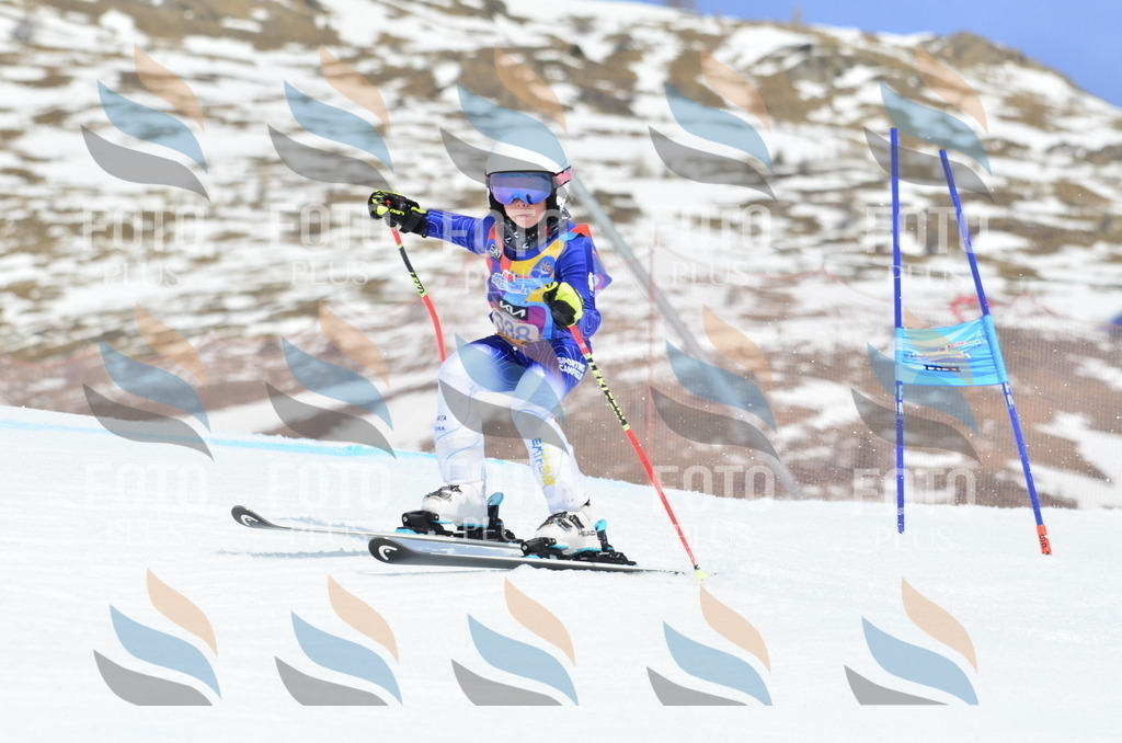 _ELE2511 | holidayphoto