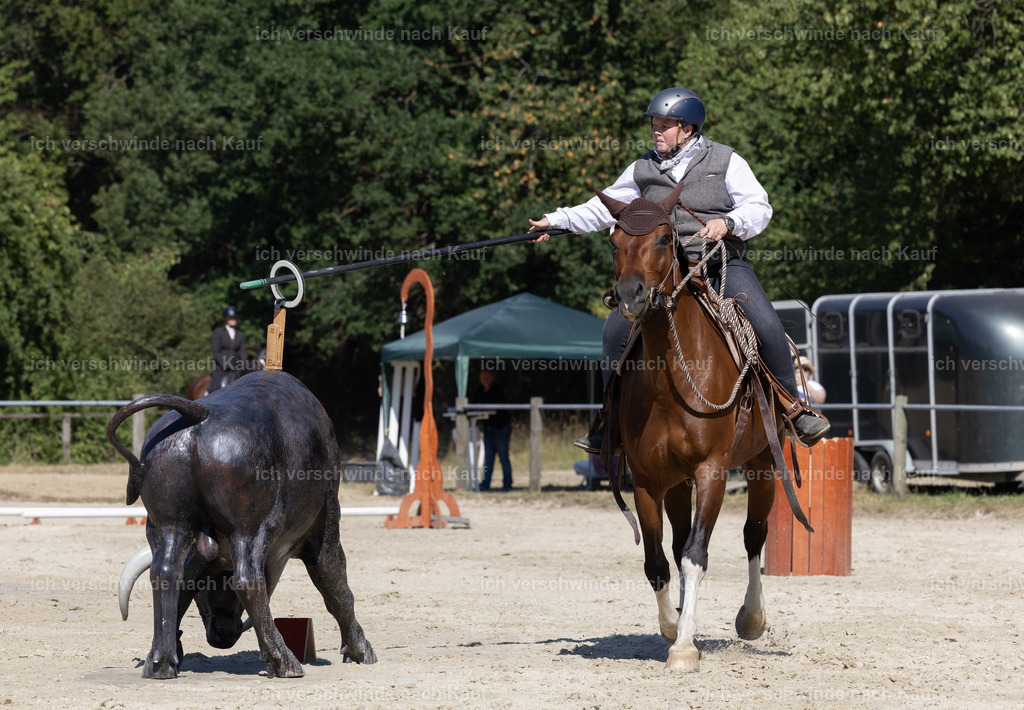 WE_Trail_107_KerstinBernhardt-6 | working equitationturnier fotograf videograf stoibphotography marixx film working equitation deutschland reitsport turnierfotografie eventfotografie equestrian events