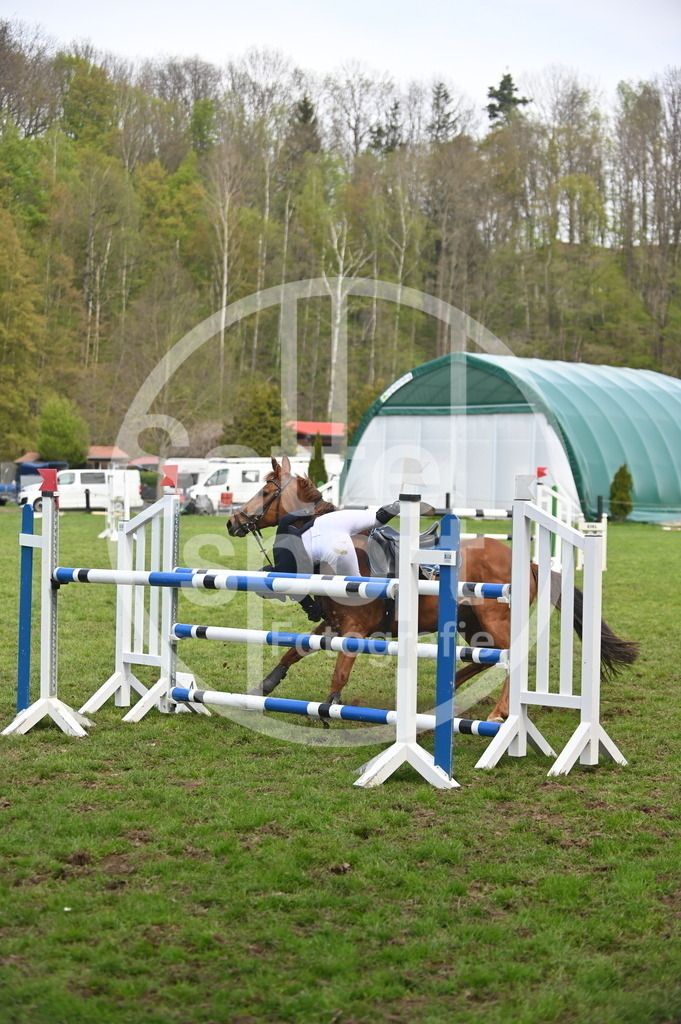 DSC_2475 | sattelsport - Realisiert mit Pictrs.com