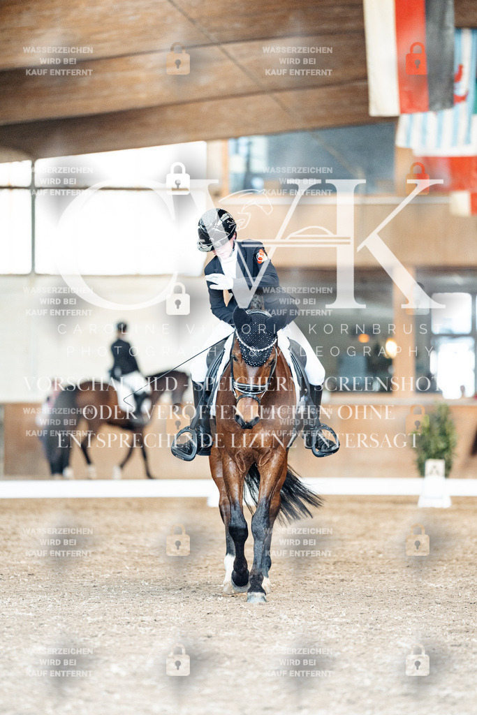 CK901552 | Turnierfotografie Pferdefotografie Trier Rheinland-Pfalz Pferdesport Reitsport Tierfotografie Sportfotografie Pferdevideo Pferdevideografie Equestrianvideography equestrianphotography  - Realisiert mit Pictrs.com
