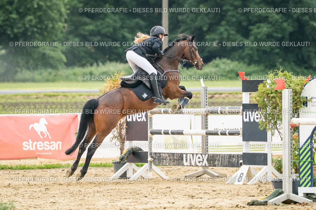 DSC07173 | Pferdegrafie