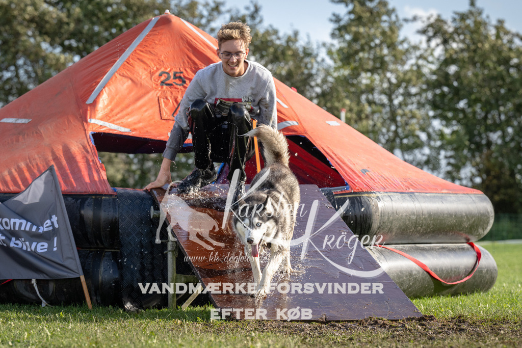 1408-93769 | kk-dogfotos