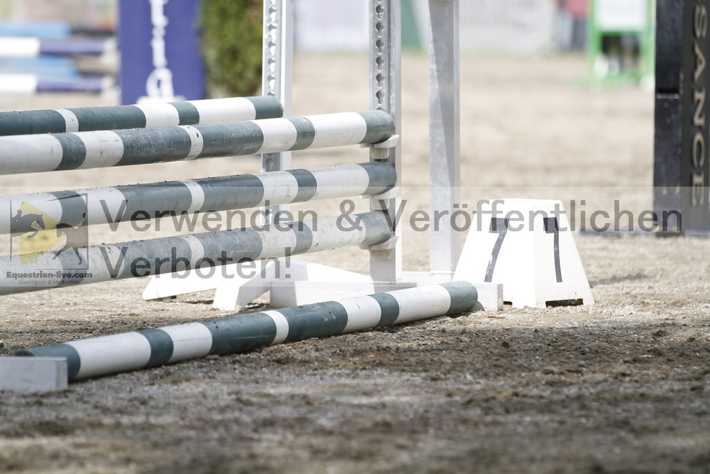_MG_4615 | equestrian-live-com
