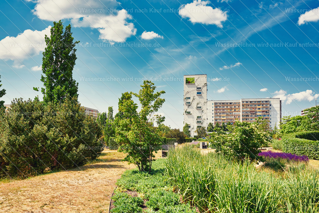 Hoyerswerda-Neustadt im Sommer 2023 - Central-Park | Hoyerswerda-Neustadt im Sommer 2023 - Central-Park - Realisiert mit Pictrs.com