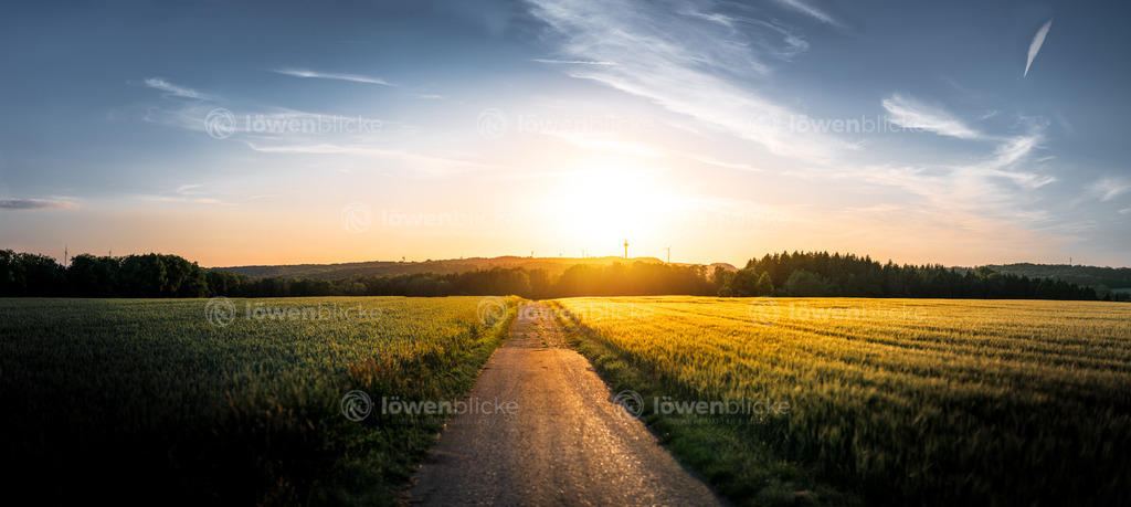 Sonnenuntergang auf der schwäbischen Alb | löwenblicke | shop