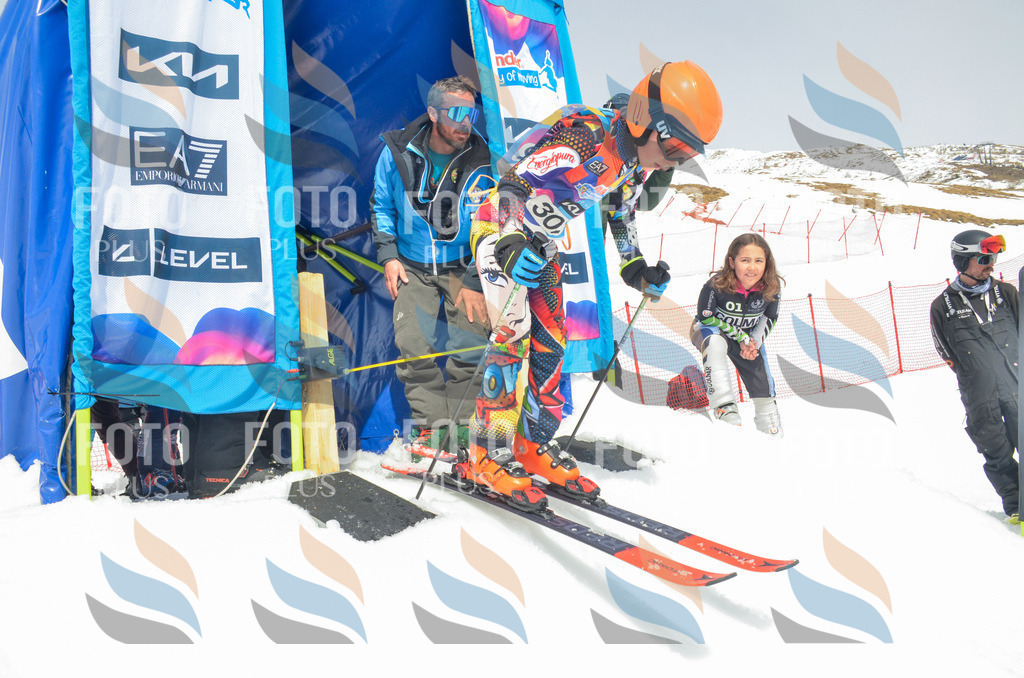 _ELE8263 | holidayphoto