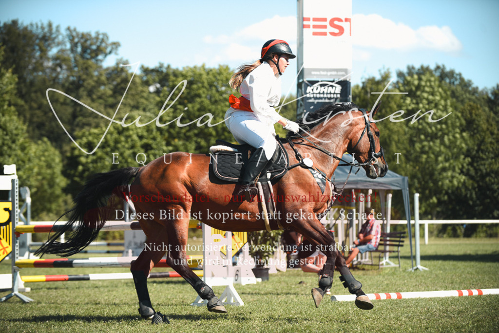 DSC_7410 | Pferde- und Turnierfotografie in Westsachsen. Pferdeportraits, Auftragszeichnungen und intuitive Kunst.