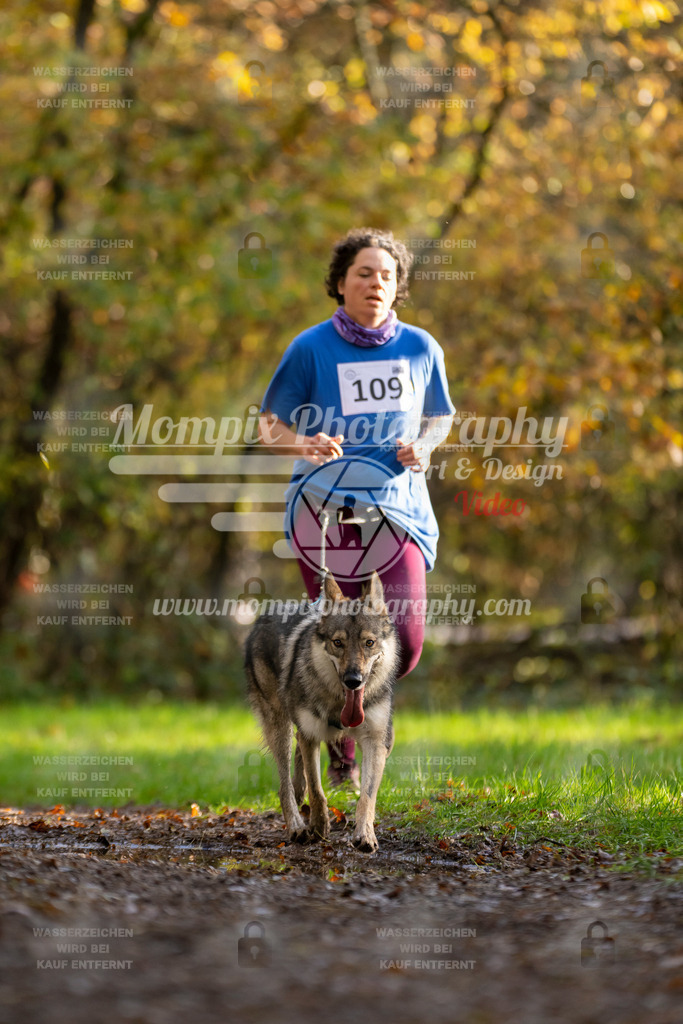 MompixPhotography_Bischwiller23_Canicross-82 | PayLife