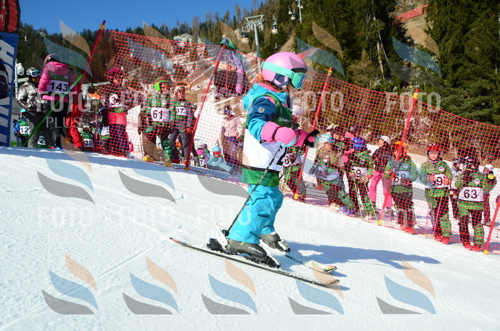 C4734 | holidayphoto