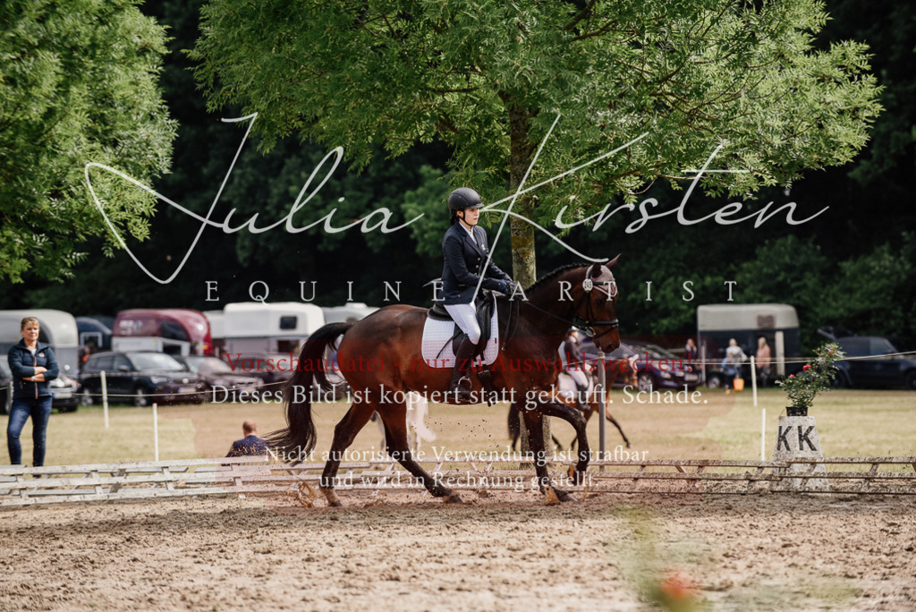 DSC_9623 | Pferde- und Turnierfotografie in Westsachsen. Pferdeportraits, Auftragszeichnungen und intuitive Kunst.