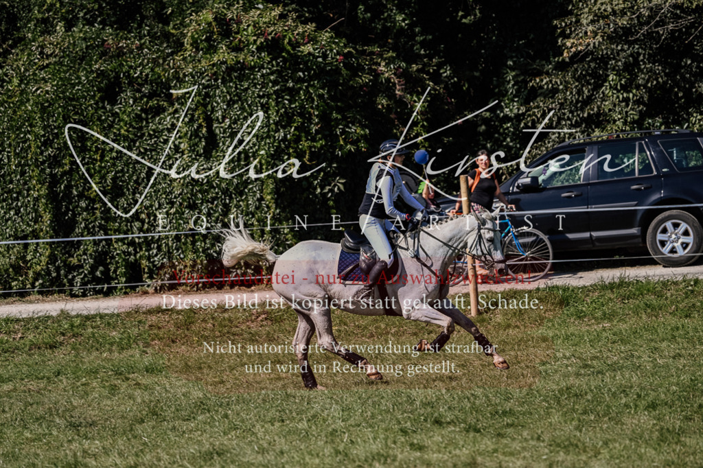 DSC_2049 | Pferde- und Turnierfotografie in Westsachsen. Pferdeportraits, Auftragszeichnungen und intuitive Kunst.